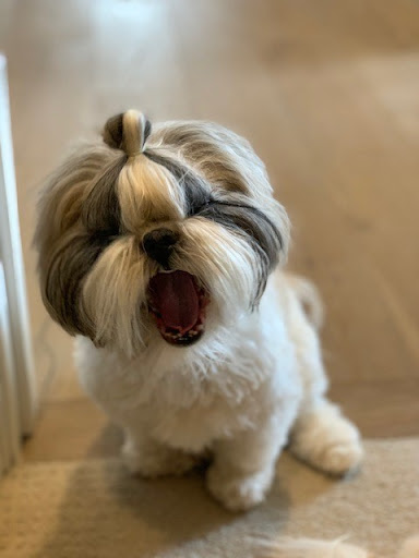 Insurance Agency «Youkie Chambers - State Farm Insurance Agent», reviews and photos