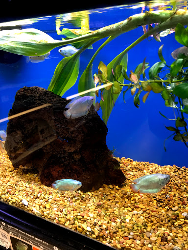 Pet Supply Store «Petco Animal Supplies», reviews and photos, 1060 U.S. 9, Parlin, NJ 08859, USA