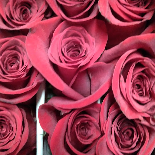 Florist «Wholesale Flowers and Supplies», reviews and photos, 5305 Metro St, San Diego, CA 92110, USA