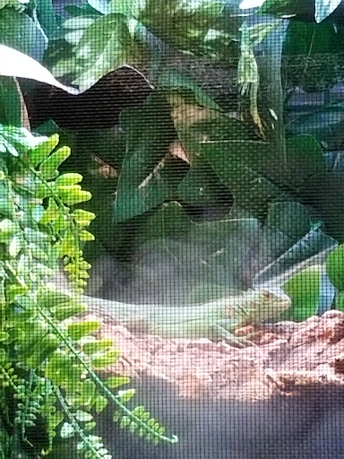 Pet Store «Everything Pets», reviews and photos, 1506 Altamont Ave, Schenectady, NY 12303, USA