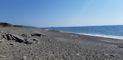 Wild beach II'in fotoğrafı düz ve uzun ile birlikte
