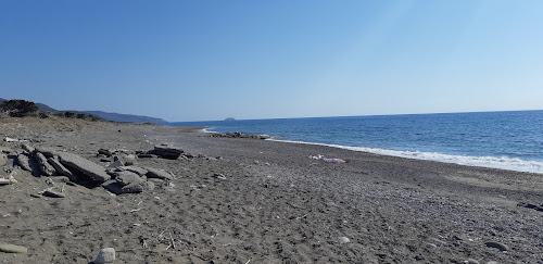 Wild beach II photo #1