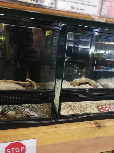 Pet Store «Critter Cabana - Wilsonville», reviews and photos, 8406 SW Main St #200, Wilsonville, OR 97070, USA