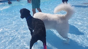 Splash Kingdom Waterpark Shreveport - photo 30