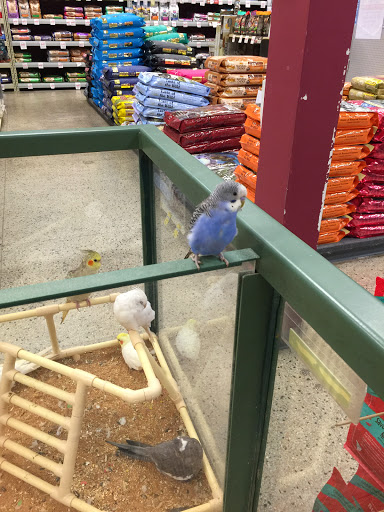 Pet Supply Store «Petland Dallas», reviews and photos, 11909 Preston Rd, Dallas, TX 75230, USA