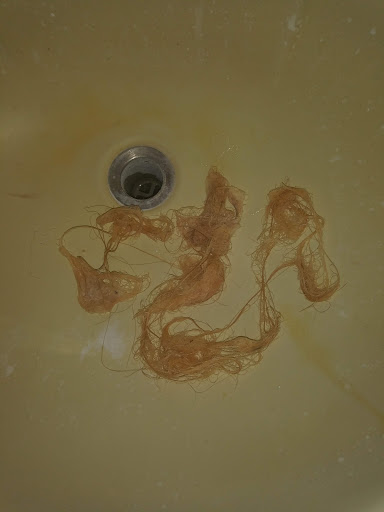 Hair Salon «Fantastic Sams Cut & Color», reviews and photos, 440 E Burleigh Blvd, Tavares, FL 32778, USA