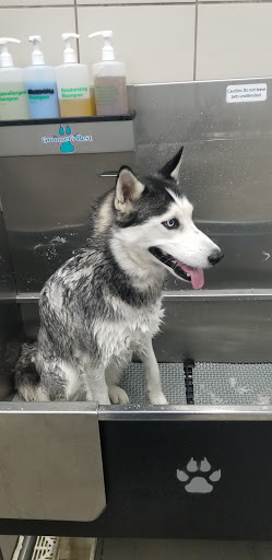 Pet Supply Store «Pet Supplies Plus», reviews and photos, 9430 W 159th St, Orland Park, IL 60467, USA