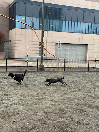 Dog Park «Gateway Dog Park», reviews and photos, 1099 S 4th Ave, Minneapolis, MN 55404, USA