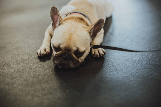 Gym «Iron Musket CrossFit», reviews and photos, 120 Commerce Cir #400/500/600, Kearneysville, WV 25430, USA