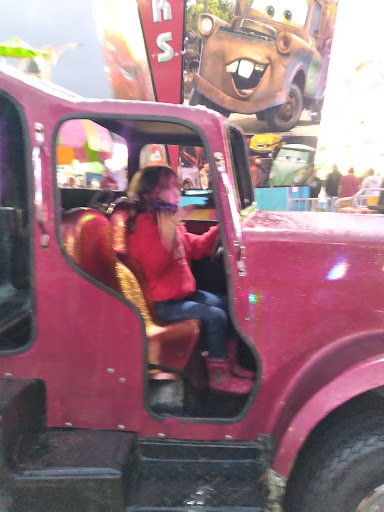 Association or Organization «Mendocino County Fair and Apple Show», reviews and photos