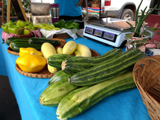 Arts Organization «HART Theatre», reviews and photos, 250 Pigeon St, Waynesville, NC 28786, USA