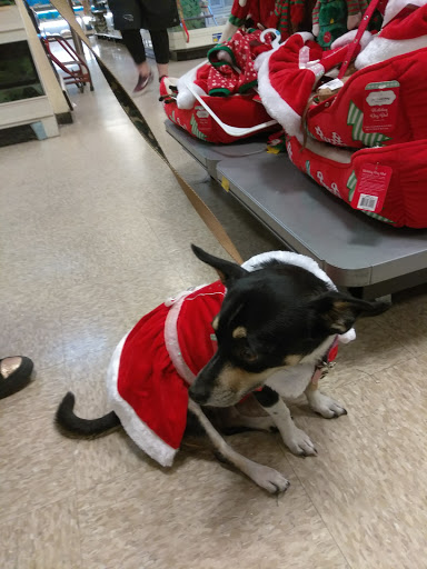 Pet Supply Store «PetSmart», reviews and photos, 5214 Blanche Moore Dr, Corpus Christi, TX 78411, USA