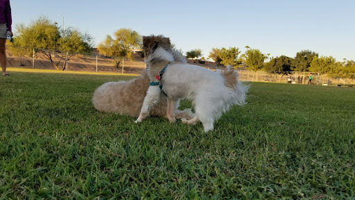 Park «Grover Basin Dog Park», reviews and photos, 17445 N 20th St, Phoenix, AZ 85022, USA
