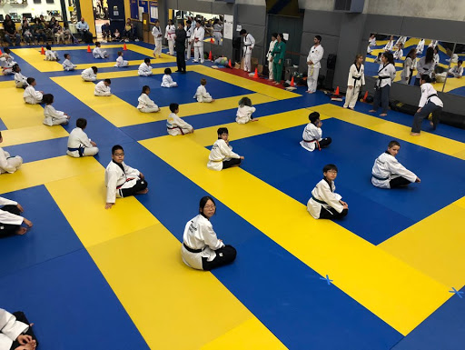 Recreational Sports Facility image