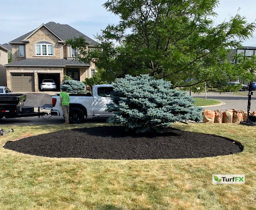 Turf FX Lawn Care