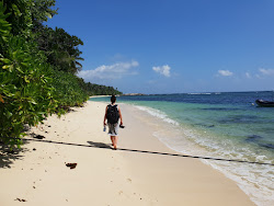 Photo de Anse Marie Louise Beach zone sauvage