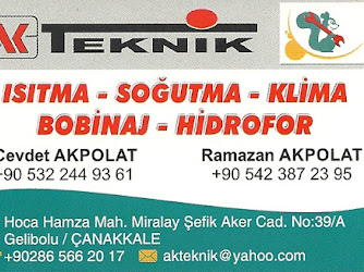 Alp Teknik