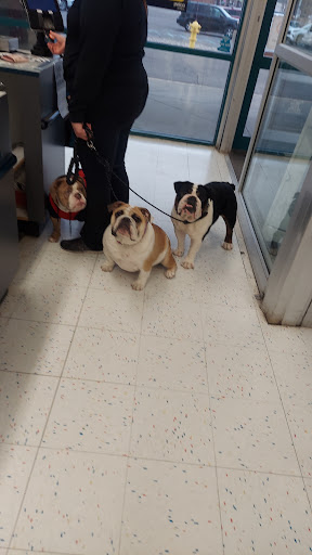 Pet Supply Store «Petco Animal Supplies», reviews and photos, 5239 Harvey St, Norton Shores, MI 49444, USA