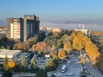 Osmangazi Üniversitesi Tıp Fakültesi Dekanlığı