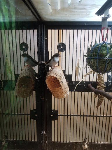 Pet Supply Store «PetSmart», reviews and photos, 2122 N 2nd St, Millville, NJ 08332, USA