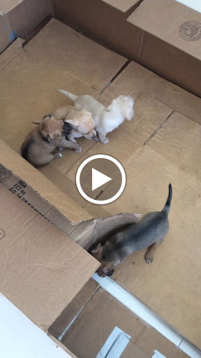 Department Store «Marshalls», reviews and photos, 1431 NY-300, Newburgh, NY 12550, USA