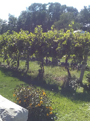 Winery «Johnson Estate Winery», reviews and photos, 8419 W Main St, Westfield, NY 14787, USA