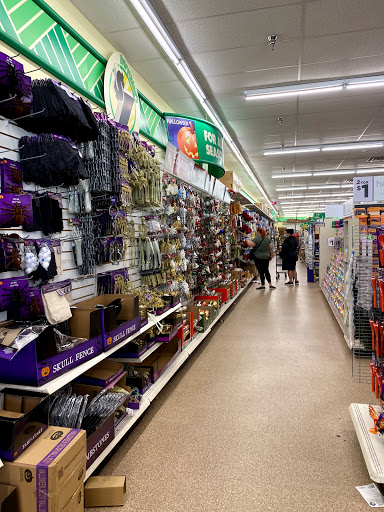Dollar Store «Dollar Tree», reviews and photos, 500 NJ-38, Cherry Hill, NJ 08002, USA