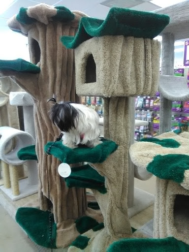 Pet Supply Store «Pet Supply», reviews and photos, 18545 Brookhurst St, Fountain Valley, CA 92708, USA