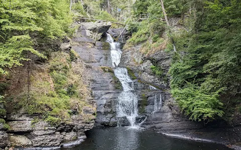 Raymondskill Falls image