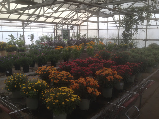 Florist «Pletschers», reviews and photos, 641 Old Hwy 8 SW, New Brighton, MN 55112, USA