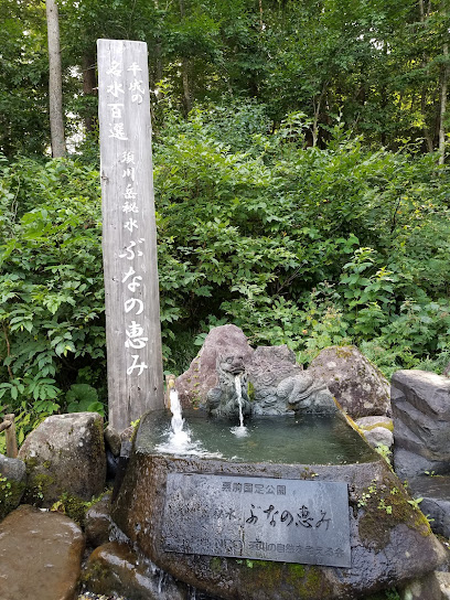 須川岳秘水 ぶなの恵み