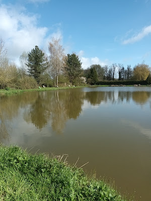 Etangs de la Cressonnière à Honnecourt-sur-Escaut