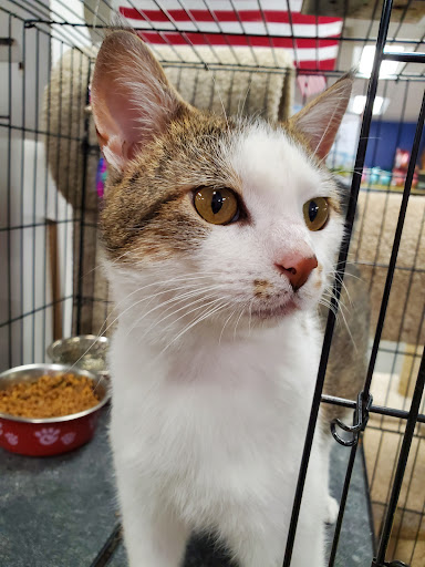 Pet Supply Store «Pet Food Center», reviews and photos, 603 W Main St, Newburgh, IN 47630, USA