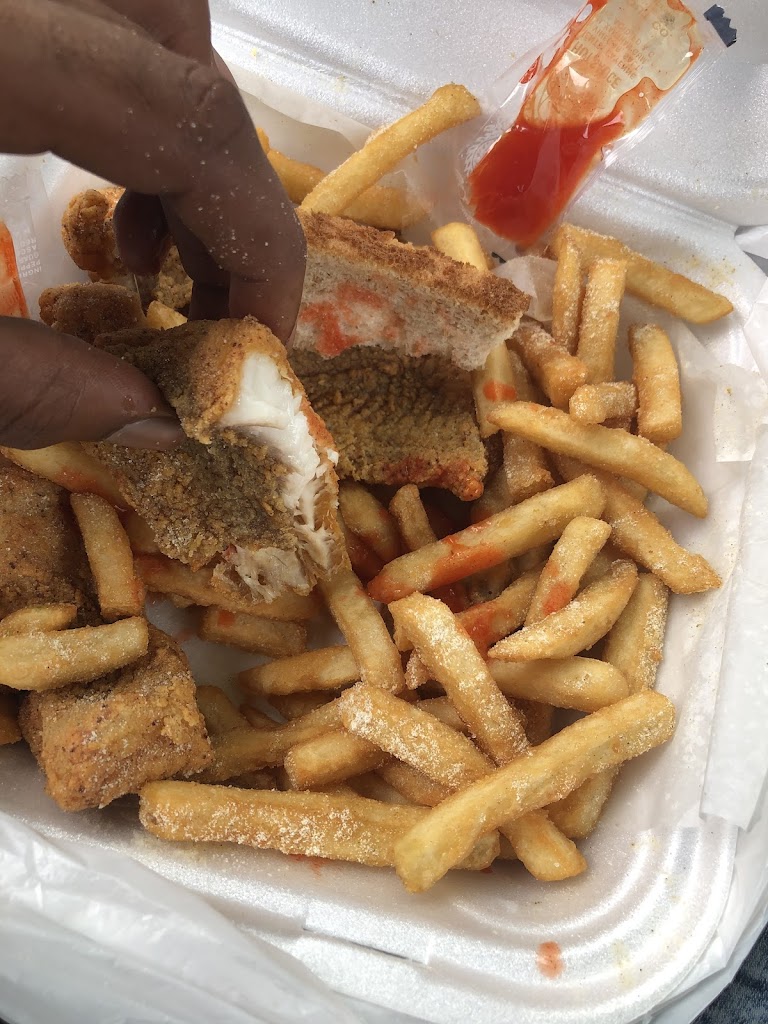 Ocean Fish & Chicken 48234