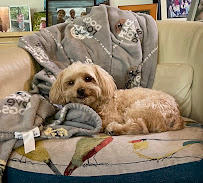 Peanut and Pals - Photo 3 - Car repair in , West Palm Beach