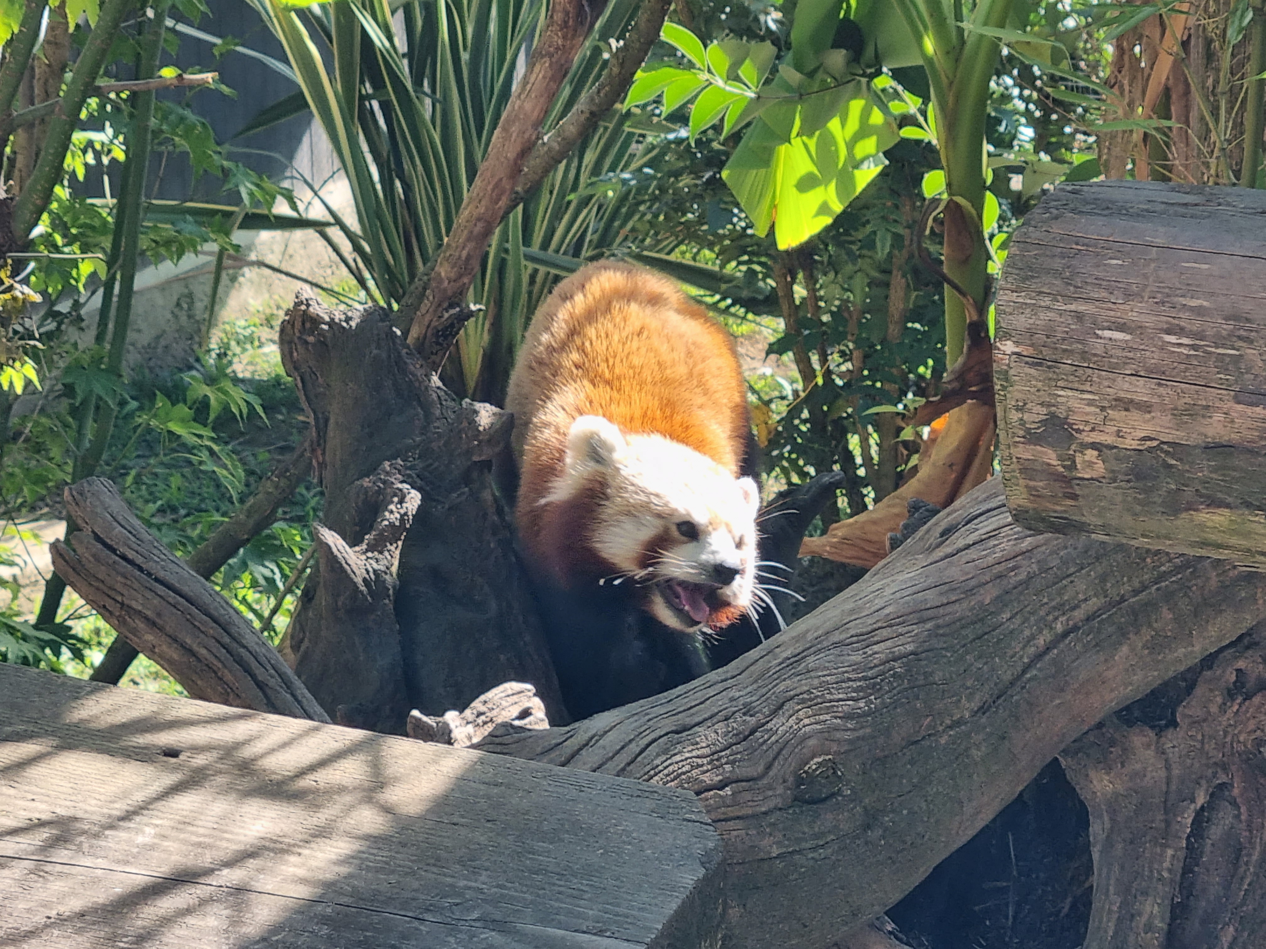 Photo n° 4 de l'avis de alexandre.o fait le 25/08/2022 à 15:51