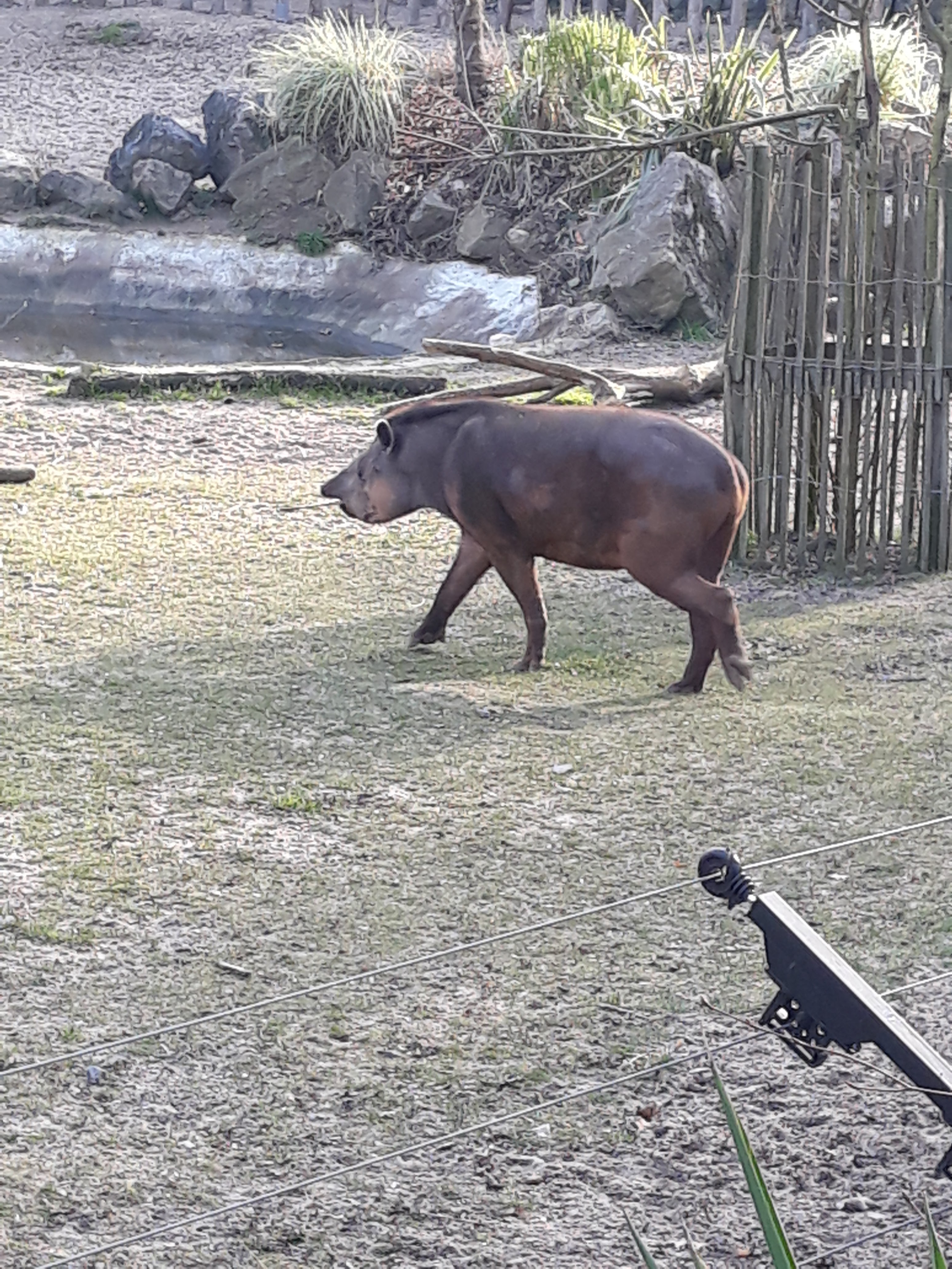 Photo n° 6 de l'avis de Priscillia.r fait le 18/02/2019 à 12:48