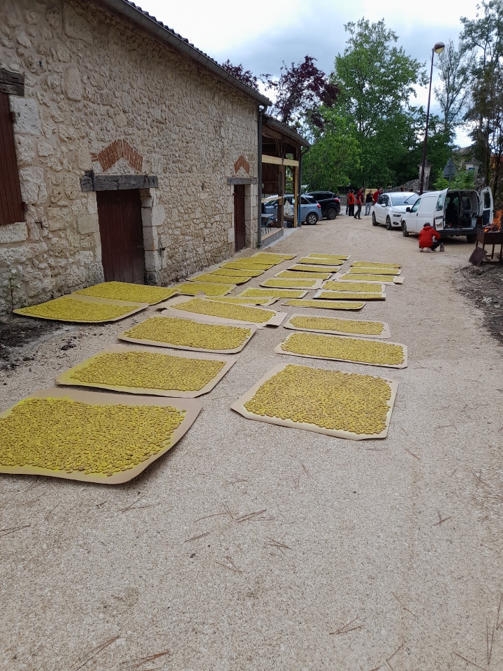 Photo n° 1 de l'avis de fenelon.e fait le 13/05/2023 à 17:26