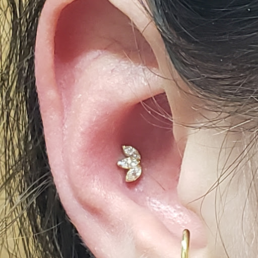 Explore tattoo lettering ideas, creative tattoo ideas in Worcester, available at Piercing Emporium & Tattoo