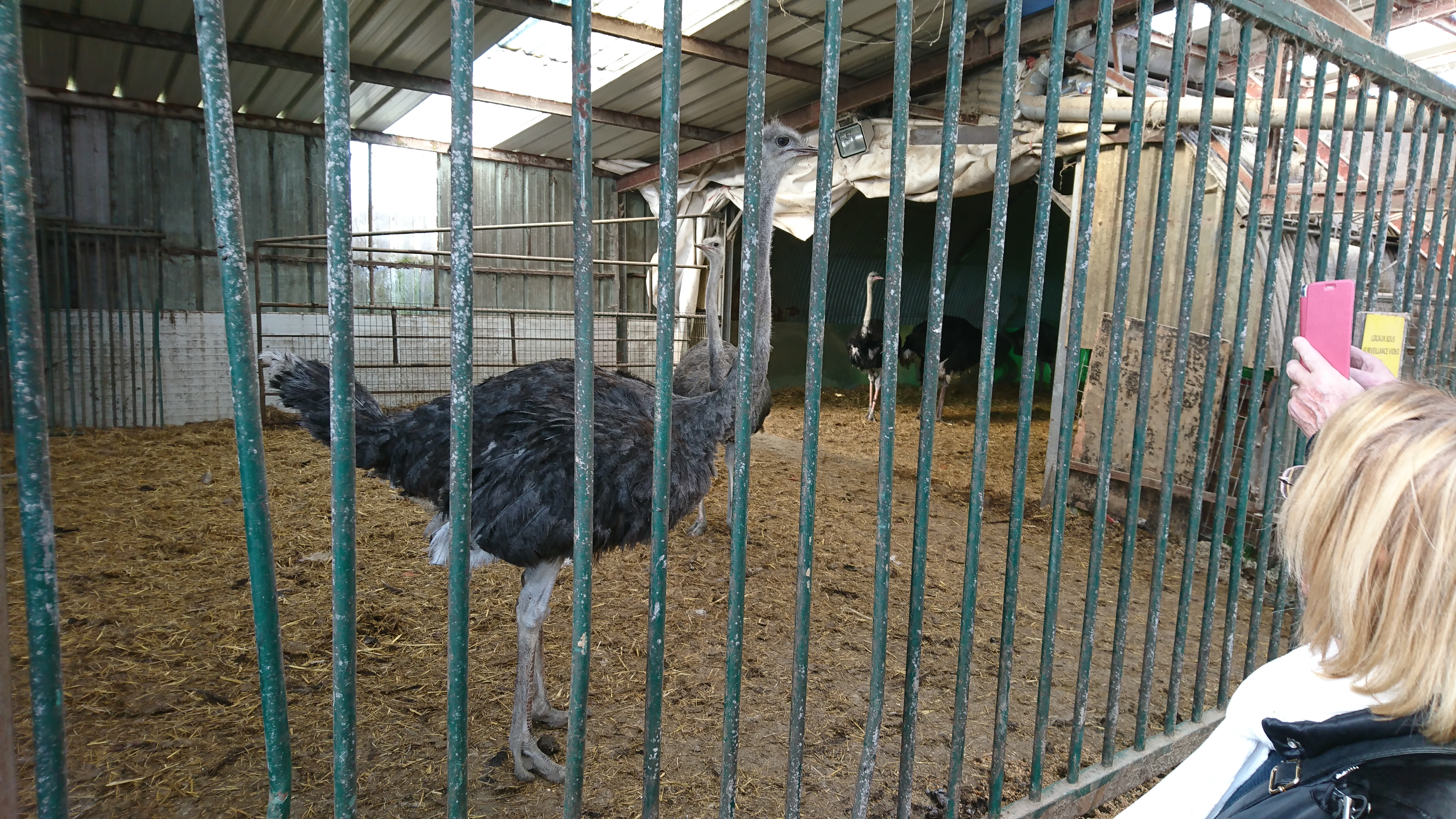 Photo n° 7 de l'avis de Lucienne.C fait le 26/02/2019 à 15:48