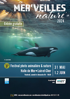 Mer'veilles Nature Festival à Mer