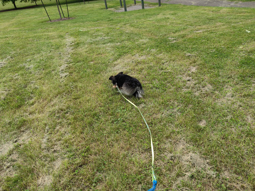 Park «Taylor Memorial Park», reviews and photos, 4201 Lee Ave, Louisville, KY 40213, USA