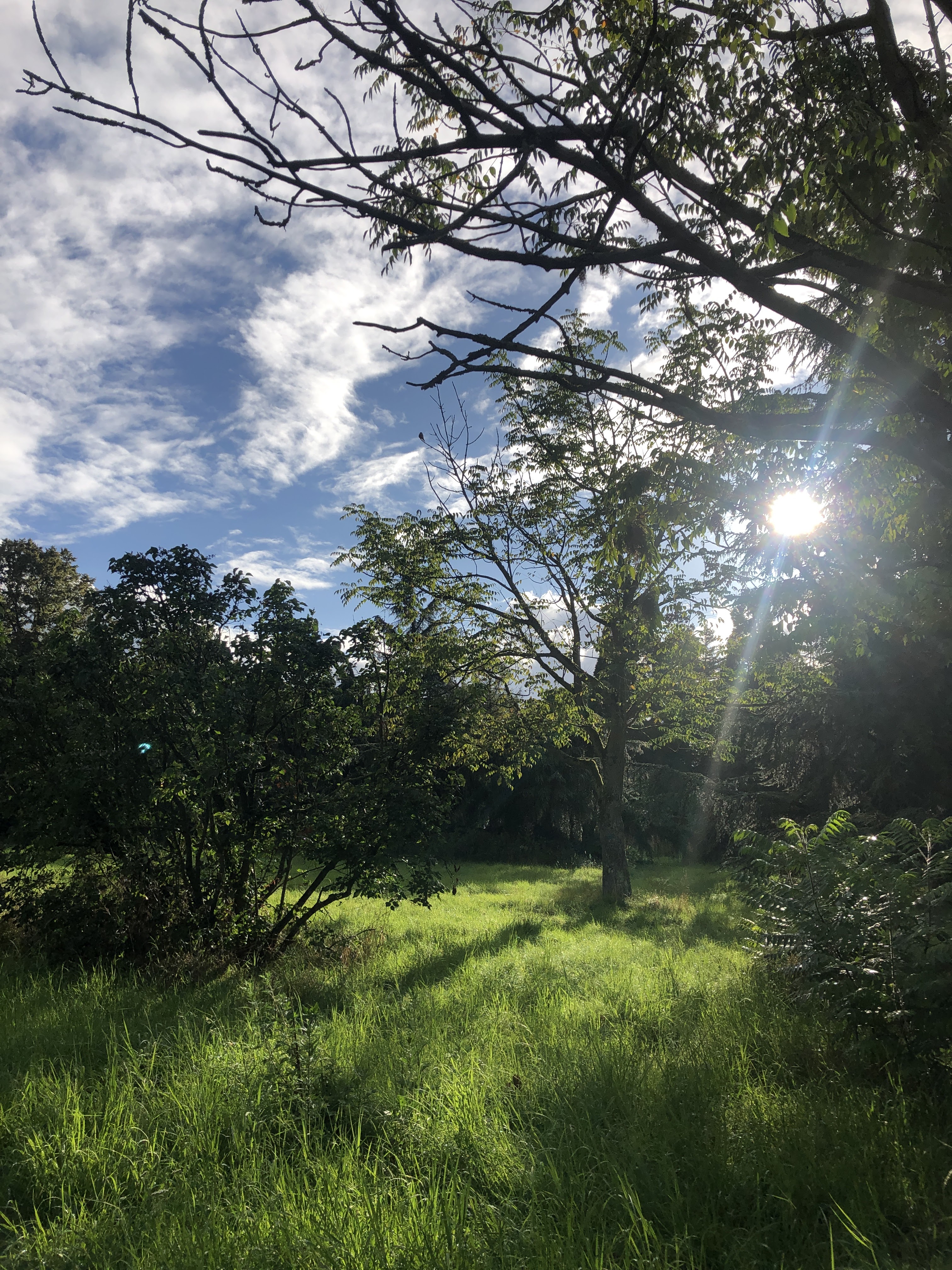 Photo n° 5 de l'avis de Munkhkhuslen.a fait le 29/08/2023 à 23:03