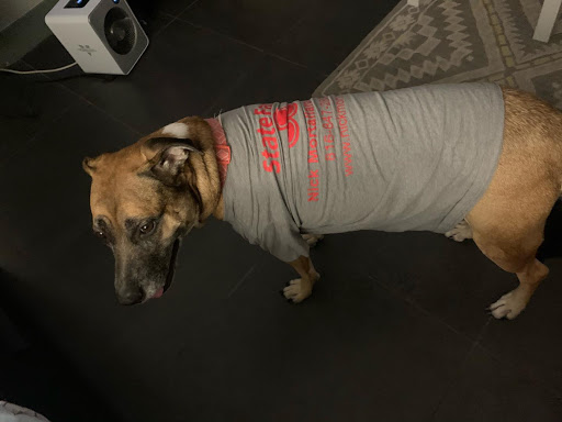 Auto Insurance Agency «Nick Mortallaro - State Farm Insurance», reviews and photos