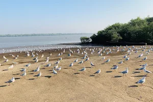 Bhayandar Khadi image