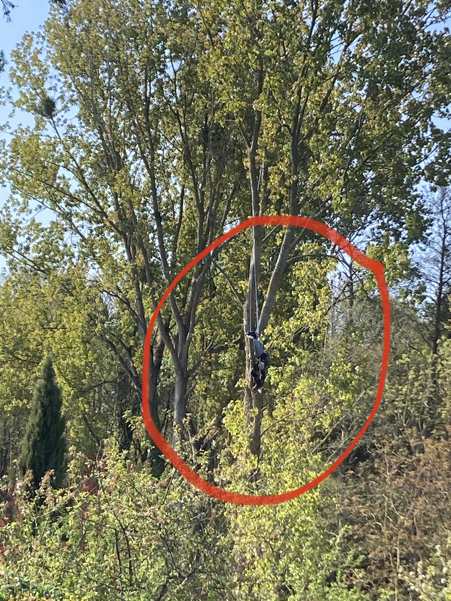 Photo n° 1 de l'avis de Valérie.h fait le 25/04/2022 à 16:20