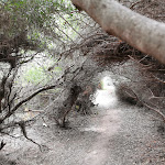 Photo n°23 de l'avis de Serena.i fait le 08/09/2019 à 10:12 sur le  Hotel Solara Area Camper à Conca Specchiulla