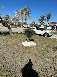 Tropical Oasis Landscaping - Photo 6 - Car repair in Seminole, FL, St. Petersburg