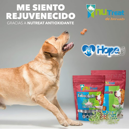 Clínica Veterinaria Pet's Hope - Veterinario