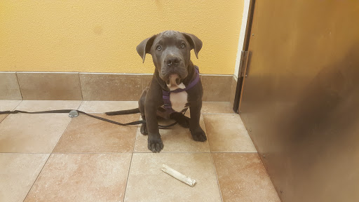 Pet Supply Store «PetSmart», reviews and photos, 5722 Fairmont Pkwy, Pasadena, TX 77505, USA